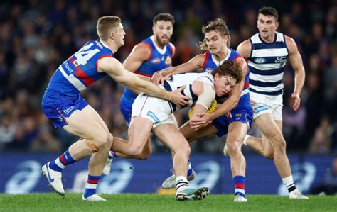 Geelong Cats vs the Western Bulldogs Prediction & Odds – AFL .